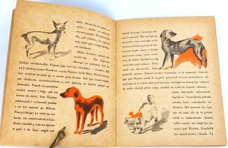 OSSENDOWSKI - MIŚ I CHOCHA il. Tadeusza Lipskiego - 4