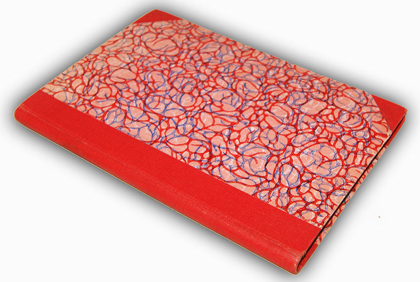 WODZICKI- JASKÓŁKA wyd. 1891r.