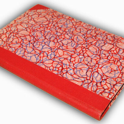 WODZICKI- JASKÓŁKA wyd. 1891r.