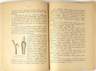 JANKOWSKI- SAD PRZY CHACIE wyd. 1930 - 3