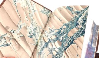 Andrzej Sapkowski - The Witcher. Illustrated Edition, Premium Leather Binding, Metalwork, Fore edge Painting - 13