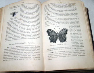 SCHOEDLER- KSIĘGA PRZYRODY 1873r. drzeworyty - 11