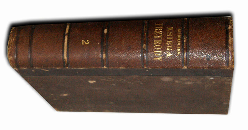 SCHOEDLER- KSIĘGA PRZYRODY 1873r. drzeworyty