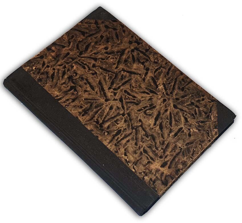 PULNAROWICZ - RYCERSTWO POLSKIE PODKARPACIA wyd. 1937