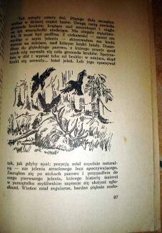 WACEK - W POLSKICH KNIEJACH wyd. 1947r. ilustracje - 3