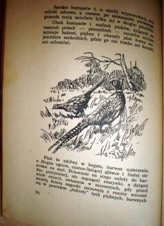 WACEK - W POLSKICH KNIEJACH wyd. 1947r. ilustracje - 4