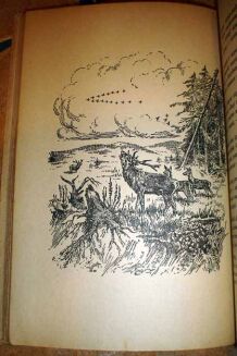 WACEK - W POLSKICH KNIEJACH wyd. 1947r. ilustracje - 5