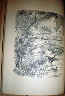 WACEK - W POLSKICH KNIEJACH wyd. 1947r. ilustracje - 6