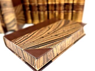 CZECHOW- DZIEŁA t. I-XI [komplet] kolekcja w półskórzanej oprawie - 6