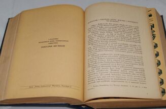 ZARYS HISTORII WOJENNEJ PUŁKÓW POLSKICH 1918-1920 4t. [komplet] - 13