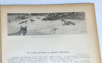 WILD UND HUND. Illustrierte Jagdzeitung. 7. Jahrgang. 1901 - 3
