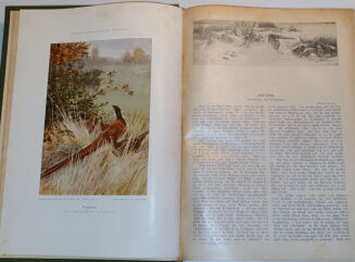 WILD UND HUND. Illustrierte Jagdzeitung. 7. Jahrgang. 1901 - 5