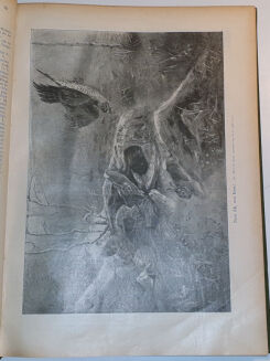 WILD UND HUND. Illustrierte Jagdzeitung. 7. Jahrgang. 1901 - 6