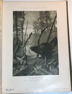 WILD UND HUND. Illustrierte Jagdzeitung. 7. Jahrgang. 1901 - 7