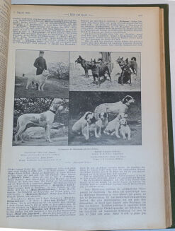 WILD UND HUND. Illustrierte Jagdzeitung. 7. Jahrgang. 1901 - 10