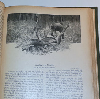 WILD UND HUND. Illustrierte Jagdzeitung. 7. Jahrgang. 1901 - 14