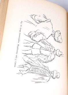 ŁOZIŃSKI- PRAWEM I LEWEM t.1-2 [komplet w 2 wol.] wyd. 1913 - 13