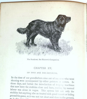 WALSINGHAM - THE BADMINTON LIBRARY: SHOOTING (FIELD & COVERT) - 11