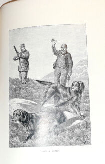 WALSINGHAM - THE BADMINTON LIBRARY: SHOOTING (FIELD & COVERT) - 12