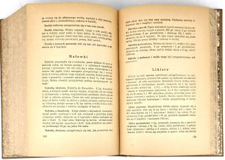 JANIK- SKARBNICA WIEDZY. PODRĘCZNIK  CHEMICZNO-TECHNICZNY wyd.1936 - 9