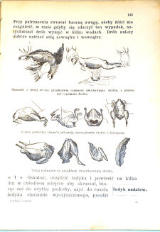 GNIEWKOWSKA- WSPÓŁCZESNA KUCHNIA DOMOWA wyd. 1938r. - 3
