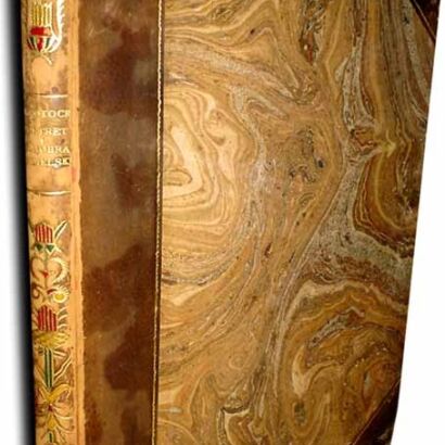 POTOCKI- PORTET I KRAJOBRAZ ANGIELSKI. OPRAWA RADZISZEWSKI