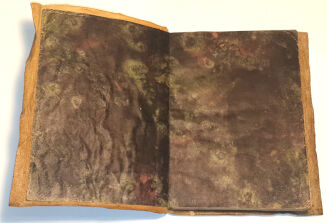 Franciszek Joachim RADZISZEWSKI - OPRAWA - 4