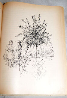 MONTGOMERY - ANIA Z ZIELONEGO WZGÓRZA 1-6 komplet - 10