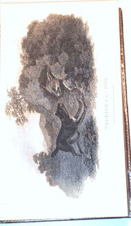 DANIEL - RURAL SPORTS VOL.1 HUNTING wyd. 1812 - 7