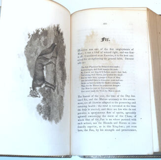 DANIEL - RURAL SPORTS VOL.1 HUNTING wyd. 1812 - 9