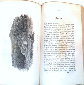 DANIEL - RURAL SPORTS VOL.1 HUNTING wyd. 1812 - 12