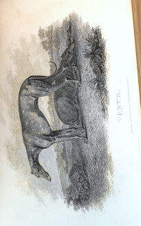 DANIEL - RURAL SPORTS VOL.1 HUNTING wyd. 1812 - 13