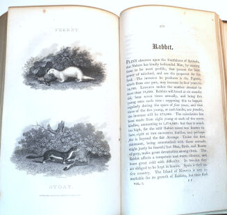 DANIEL - RURAL SPORTS VOL.1 HUNTING wyd. 1812 - 14