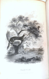 DANIEL - RURAL SPORTS VOL.1 HUNTING wyd. 1812 - 10