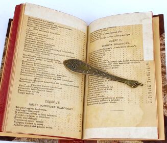 ĆWIERCZAKIEWICZ - PORZĄDKI DOMOWE wyd. 1887 - 7