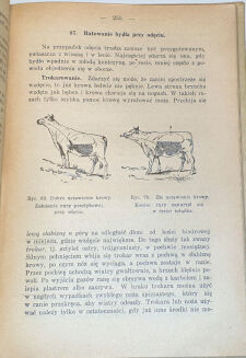 MICZYŃSKI - ROLNIK WZOROWY - 8