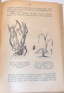 MICZYŃSKI - ROLNIK WZOROWY - 10