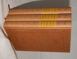 GÓRSKI- HISTORYA JAZDY, ARTYLERII, PIECHOTY POLSKIEJ - 4