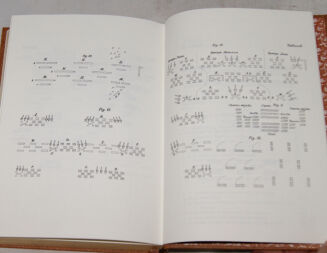 GÓRSKI- HISTORYA JAZDY, ARTYLERII, PIECHOTY POLSKIEJ - 2