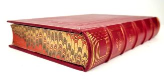 MICKIEWICZ- PAN TADEUSZ z illustracjami E. M. Andriollego skóra - 3