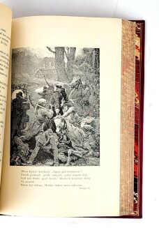 MICKIEWICZ- PAN TADEUSZ z illustracjami E. M. Andriollego skóra - 12