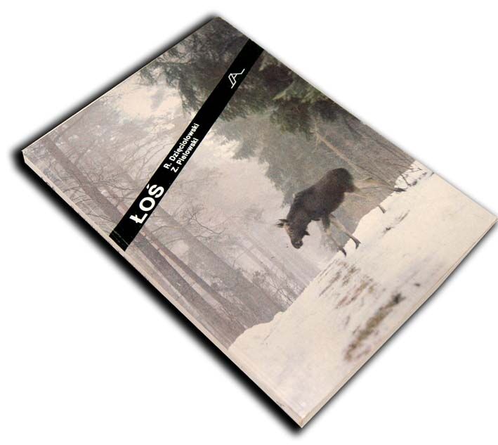 DZIĘCIOŁOWSKI - ŁOŚ ilustracje