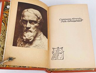 NORWID - PISMA ZEBRANE Wyd. Zenon Przesmycki. T.A cz.1-2, C, E.F [wol.1-5, komplet] - 31