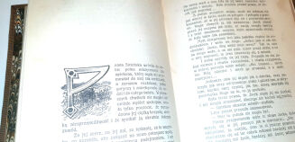 SIENKIEWICZ - NA POLU CHWAŁY ilustr. Sawiczewskiego  wyd.1 z. 1906r. - 7