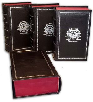 SAPKOWSKI- SAGA O WIEDŹMINIE komplet OPRAWA - 7