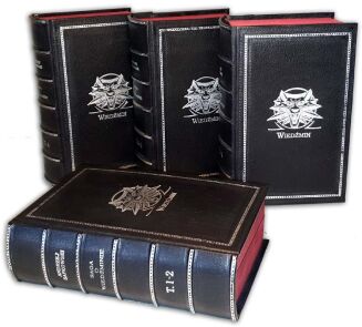 SAPKOWSKI- SAGA O WIEDŹMINIE komplet OPRAWA - 2