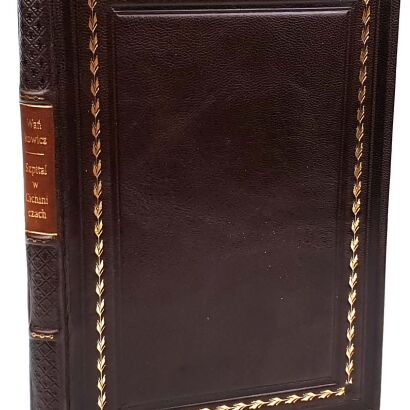 WAŃKOWICZ- SZPITAL W CICHINICZACH wyd. 1