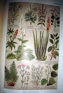 SPRINGER- LEKARZ RATUJĄCY ZDROWIE t. I-II - OPRAWA WYDAWNICZA - 11