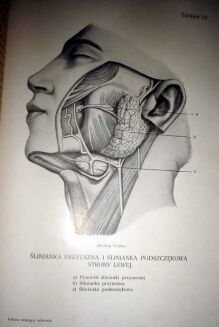 SPRINGER- LEKARZ RATUJĄCY ZDROWIE t. I-II - OPRAWA WYDAWNICZA - 10