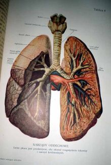 SPRINGER- LEKARZ RATUJĄCY ZDROWIE t. I-II - OPRAWA WYDAWNICZA - 9